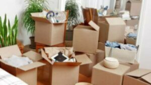 Packers and Movers Bhathapara
