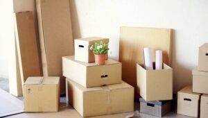Packers and Movers Bhilai Nagar