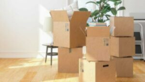 Packers and Movers Sukma