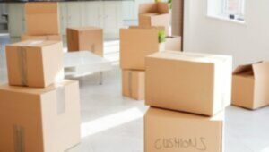 Packers and Movers Kanki