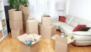 Packers and Movers Pandriya