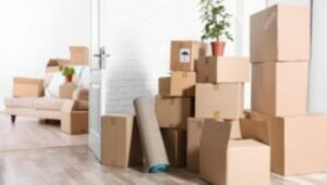 Packers and Movers Surajpur